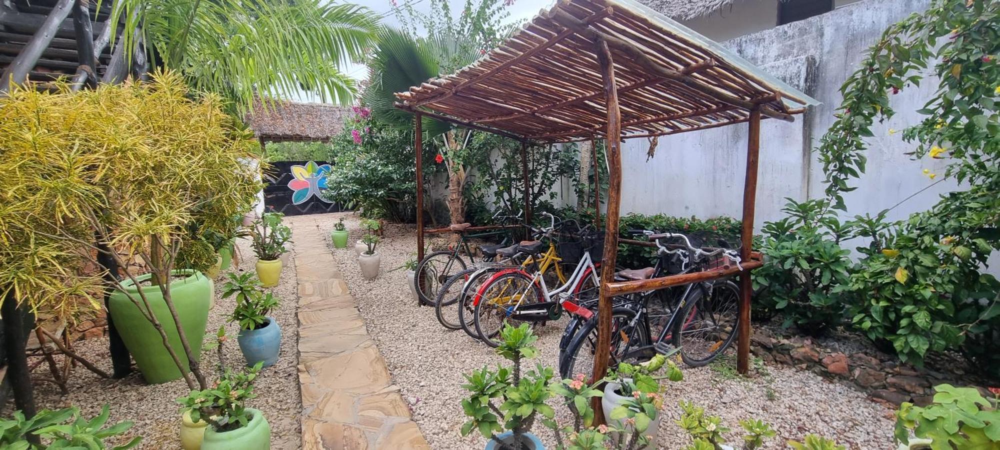 Salama & Mbuyuni Bungalows Matemwe  Ngoại thất bức ảnh