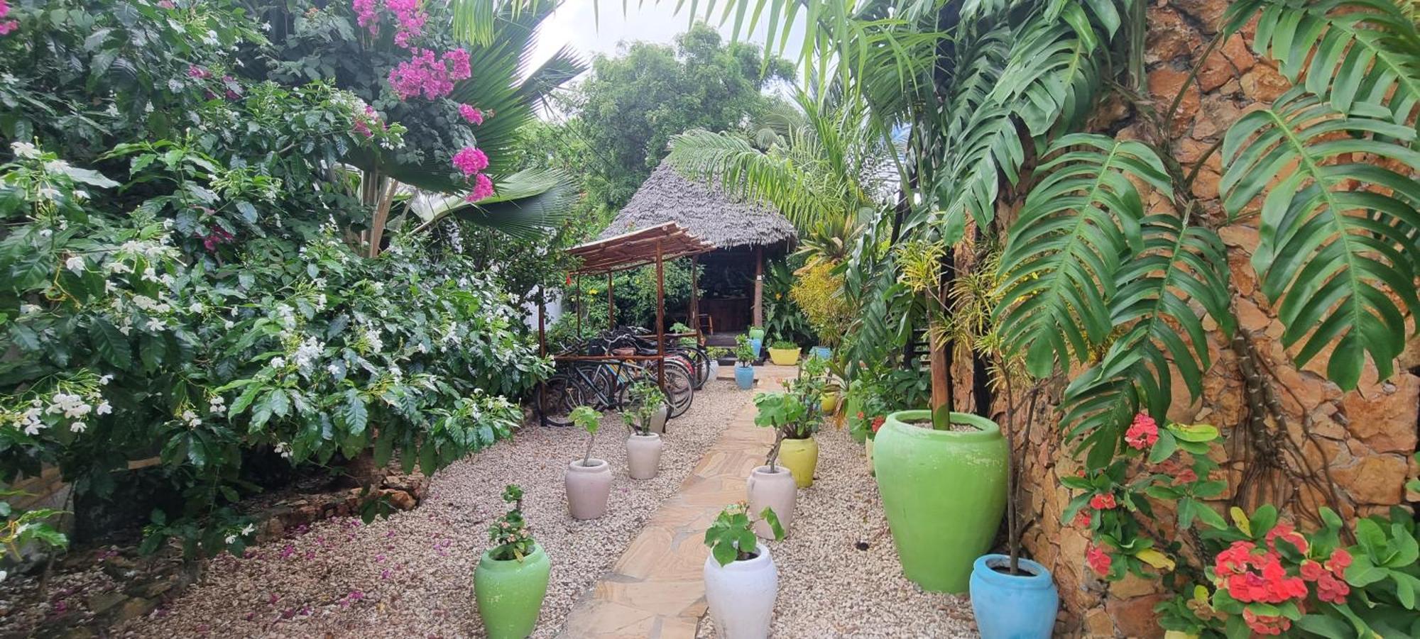 Salama & Mbuyuni Bungalows Matemwe  Ngoại thất bức ảnh